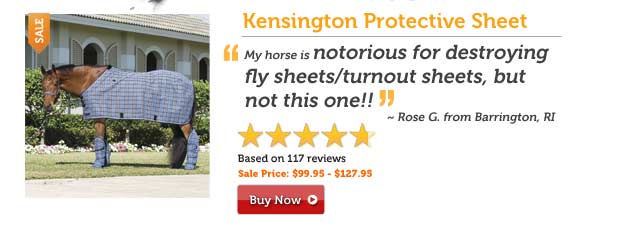 Kensington Protective Sheet
